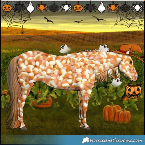Horse Color:Bay Fewspot 
