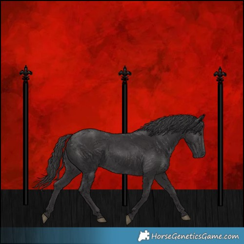 Horse Color:Smoky Black  and Smoky Black 