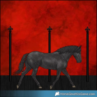 Horse Color:Smoky Black  and Smoky Black 