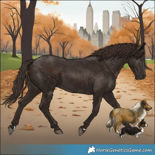 Horse Color:Liver Chestnut 