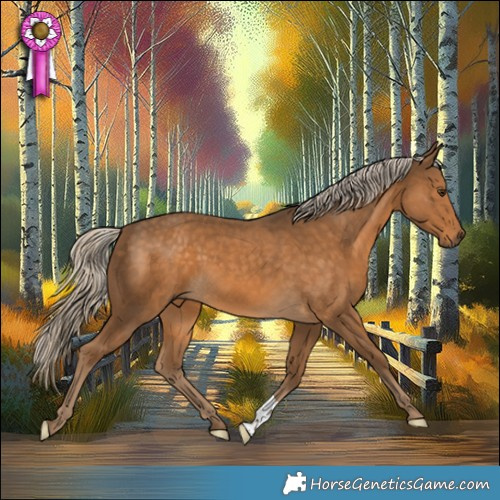 Horse Color:Chocolate Palomino 
