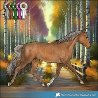 Horse Color:Chocolate Palomino 