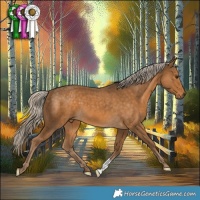 Horse Color:Chocolate Palomino