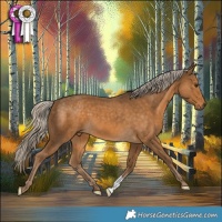 Horse Color:Chocolate Palomino 