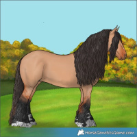 Horse Color:Bay Dun