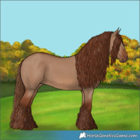 Horse Color:Red Dun 