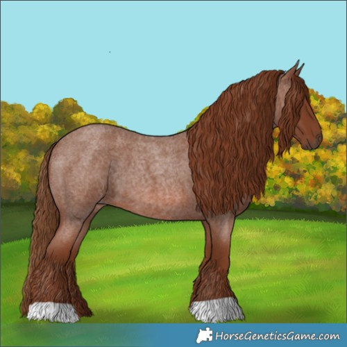 Horse Color:Red Roan