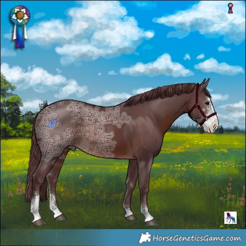 Horse Color:Chocolate Brown Ice Sabino 