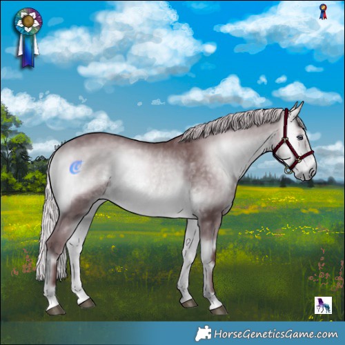 Horse Color:Chocolate Silver Buckskin Chinchilla Onyx Rabicano 