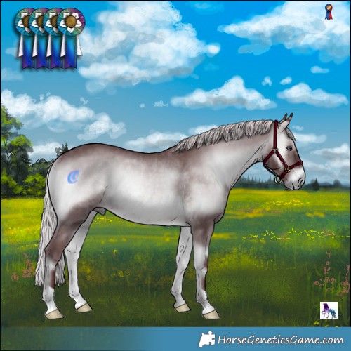 Horse Color:Chocolate Silver Brown Chinchilla Onyx Rabicano 
