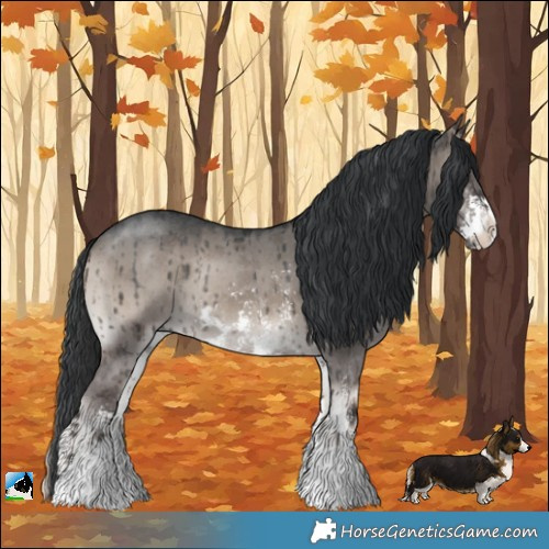 Horse Color:Grullo Onyx Mushroom Sabino Rabicano Brindle 
