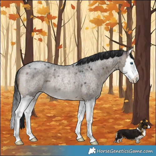 Horse Color:Brown Roan Dun Splash Rabicano 