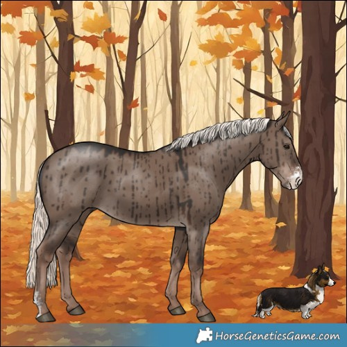 Horse Color:Liver Red Dun Mushroom Sabino Rabicano Brindle