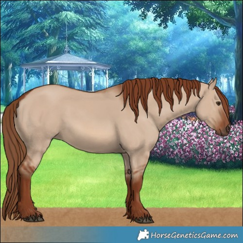 Horse Color:Red Dun 