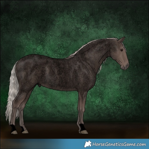 Horse Color:Void Silver Blue Roan