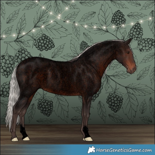 Horse Color:Void Silver Brown Roan Rabicano 
