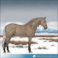 Horse Color:Void White Spotted Silver Smoky Grullo