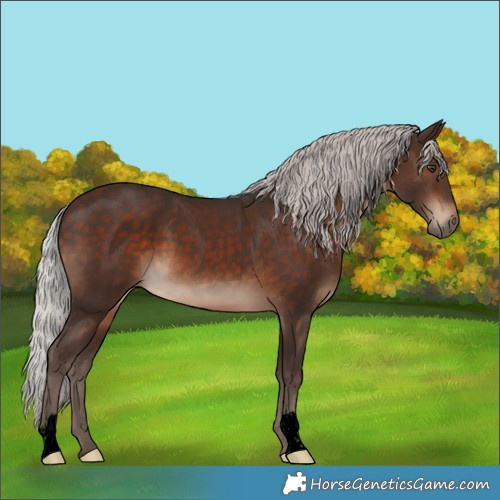 Horse Color:Void Silver Brown 