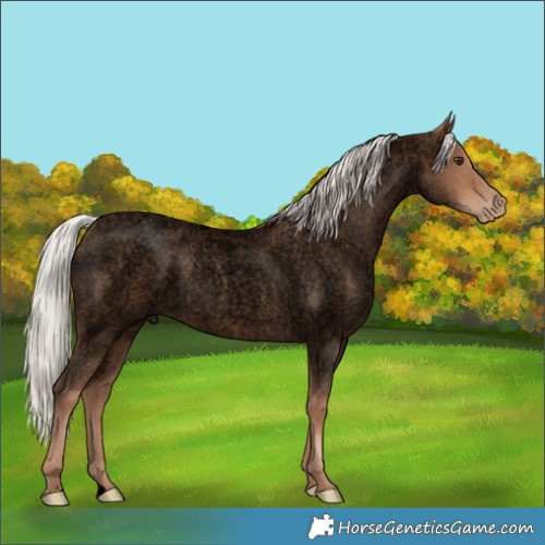 Horse Color:Void Silver Blue Roan Pearl 