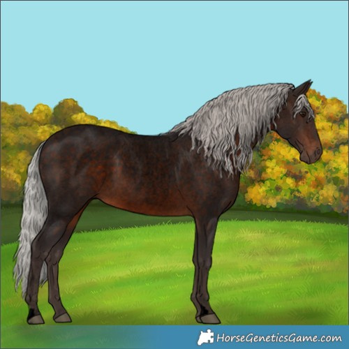 Horse Color:Void Silver Brown Roan 