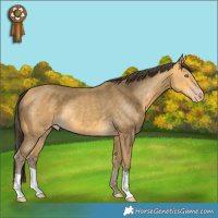 Horse Color:Amber Cream Champagne 