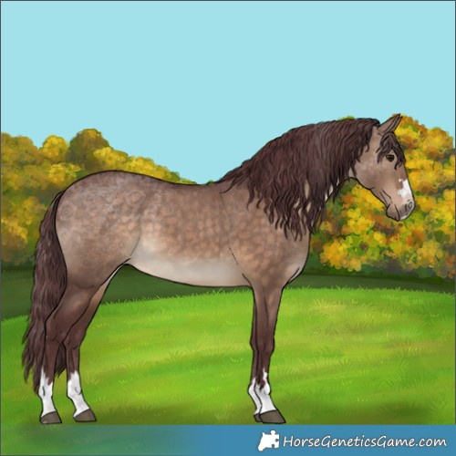 Horse Color:Chocolate Brown Dun