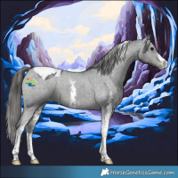Horse Color:Black Sabino Tobiano Varnish
