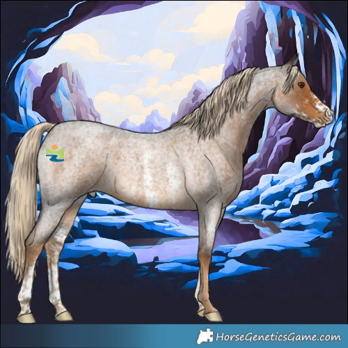 Horse Color:Chocolate Palomino Roan Sabino