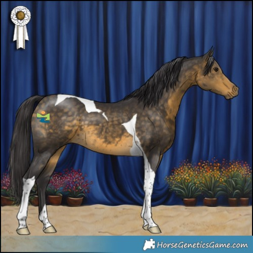 Horse Color:Buckskin Tobiano 