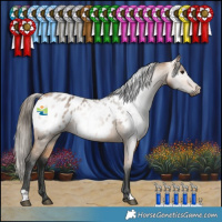 Horse Color:Gray Buckskin Blanket 