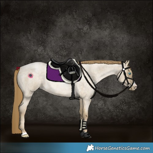 Horse Color:Chocolate Buckskin Roan Pearl Dun 