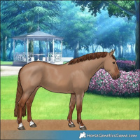 Horse Color:Red Dun 