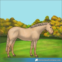 Horse Color:Red Dun 