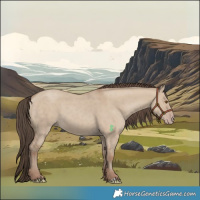 Horse Color:Classic Champagne Dun