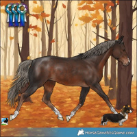 Horse Color:Liver Chestnut Rabicano 