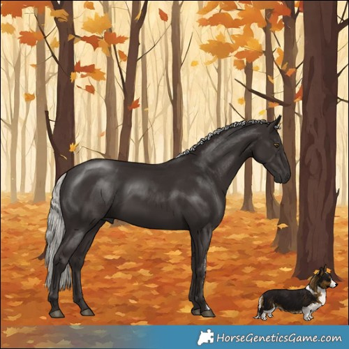 Horse Color:Liver Chestnut Mushroom Sabino Rabicano 