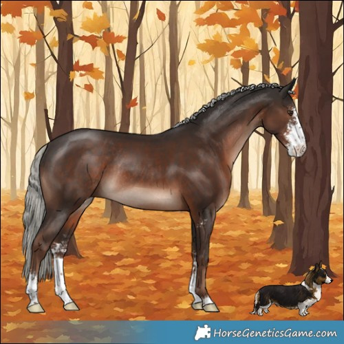 Horse Color:Liver Chestnut Mushroom Sabino Rabicano 