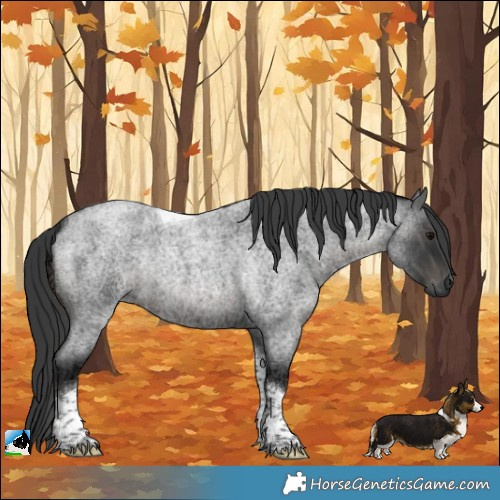 Horse Color:Blue Ice Roan Tobiano Rabicano