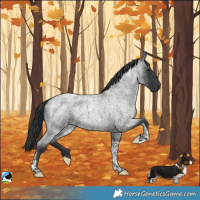 Horse Color:Blue Roan Tobiano Rabicano 