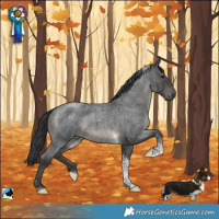 Horse Color:Blue Roan Tobiano Rabicano 
