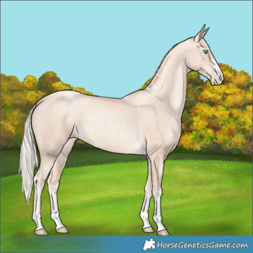 Horse Color:Gold Cream Champagne Pearl
