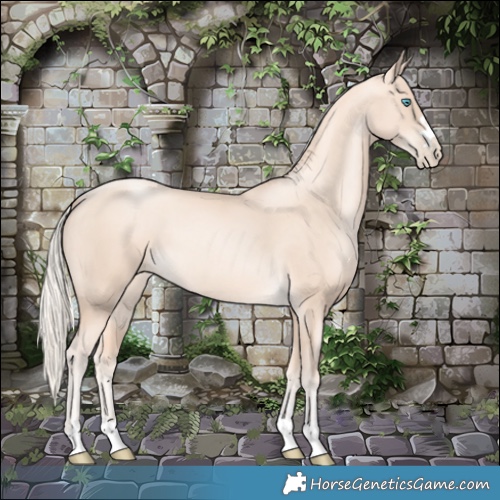 Horse Color:Gold Cream Champagne Pearl