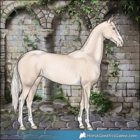Horse Color:Gold Cream Champagne Pearl 
