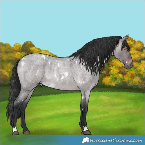 Horse Color:Platinum White Spotted Brown Roan Dun 