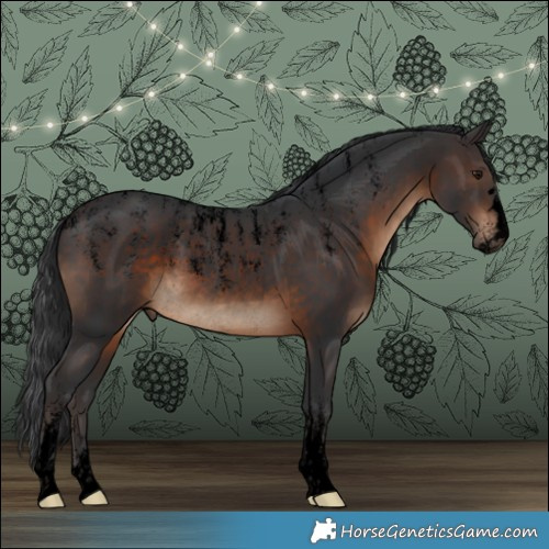 Horse Color:Powder White Void Brown Rabicano 
