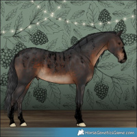 Horse Color:Powder White Void Brown Rabicano 
