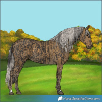 Horse Color:Smoky Black and Silver Smoky Black