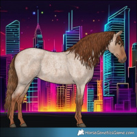 Horse Color:Red Dun Roan 