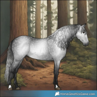 Horse Color:Gray Black