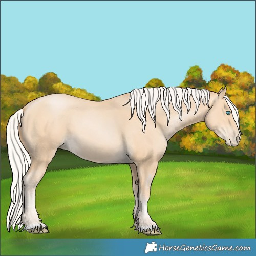 Horse Color:Silver Buckskin Pearl 